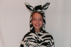 Zebra jelmez